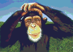 monkey_poster.gif